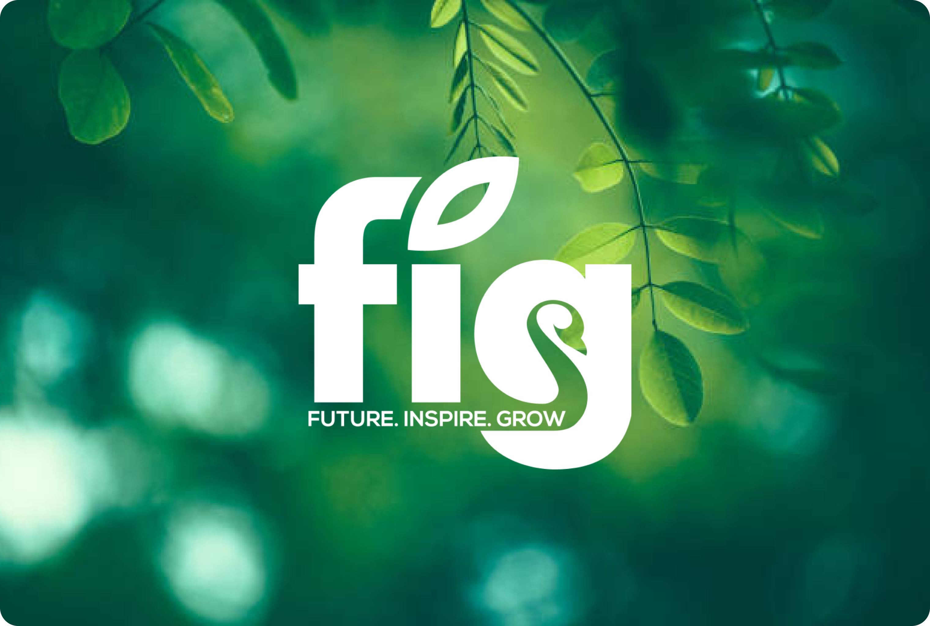 The fig app k 12 nutrition professional development wellness
